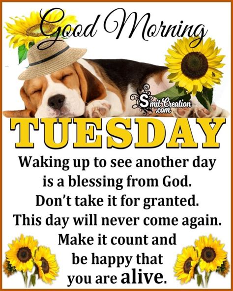 Good morning tuesday quotes - May 1, 2023 · Good Morning Tuesday Inspirational Blessings. 41. Good morning Tuesday! God shall guide your steps today because I know that when He is with you everywhere you go. His blessings shall accompany you. 42. Good morning, it’s a blessed Tuesday morning! Today shall bring an abundance of peace to you and your loved ones. Enjoy your Tuesday! 43. 